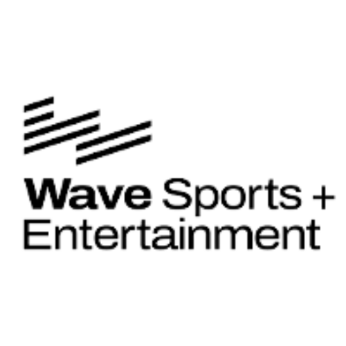 WSE Logo